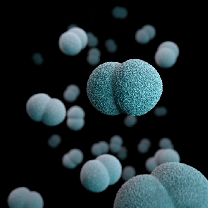 Bedeutung des Immunsystems bei Infektionen